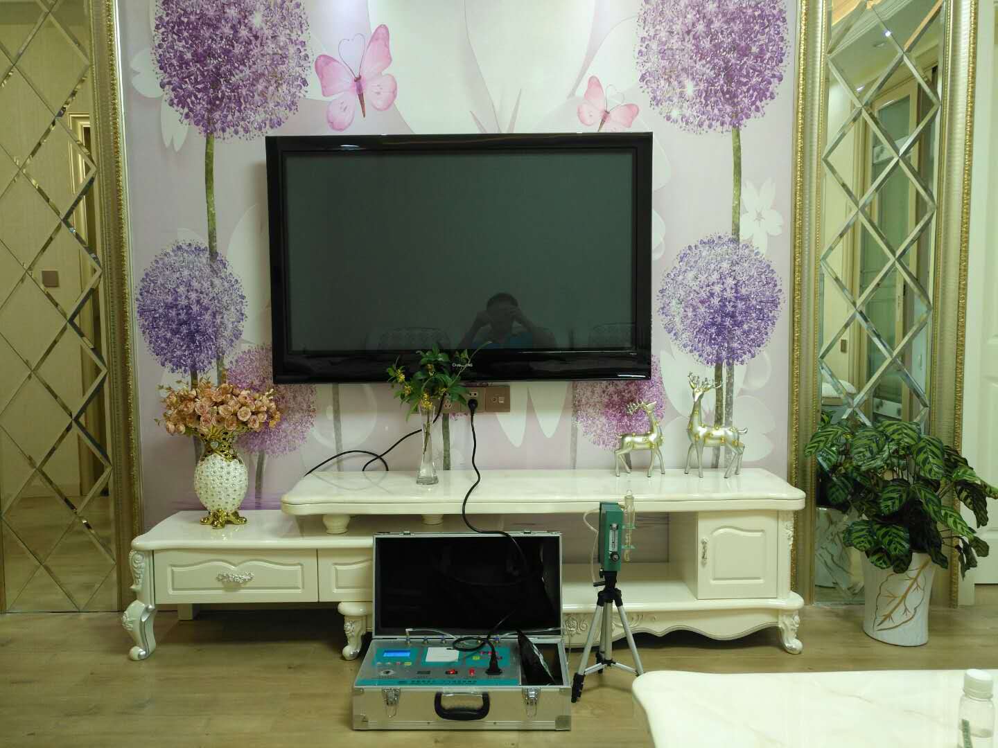 武漢市嘉凈鴻環(huán)?？萍加邢薰? style=