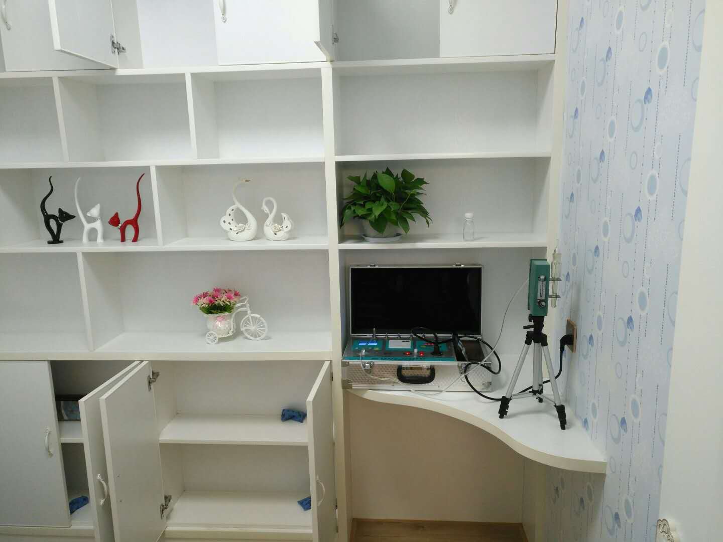 武漢市嘉凈鴻環(huán)?？萍加邢薰? style=