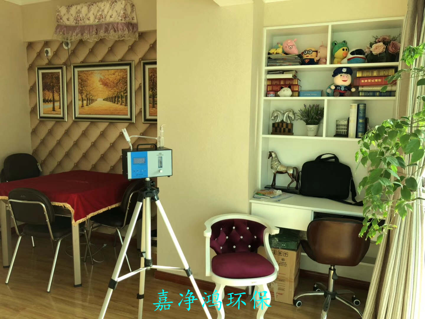 武漢市嘉凈鴻環(huán)?？萍加邢薰? style=