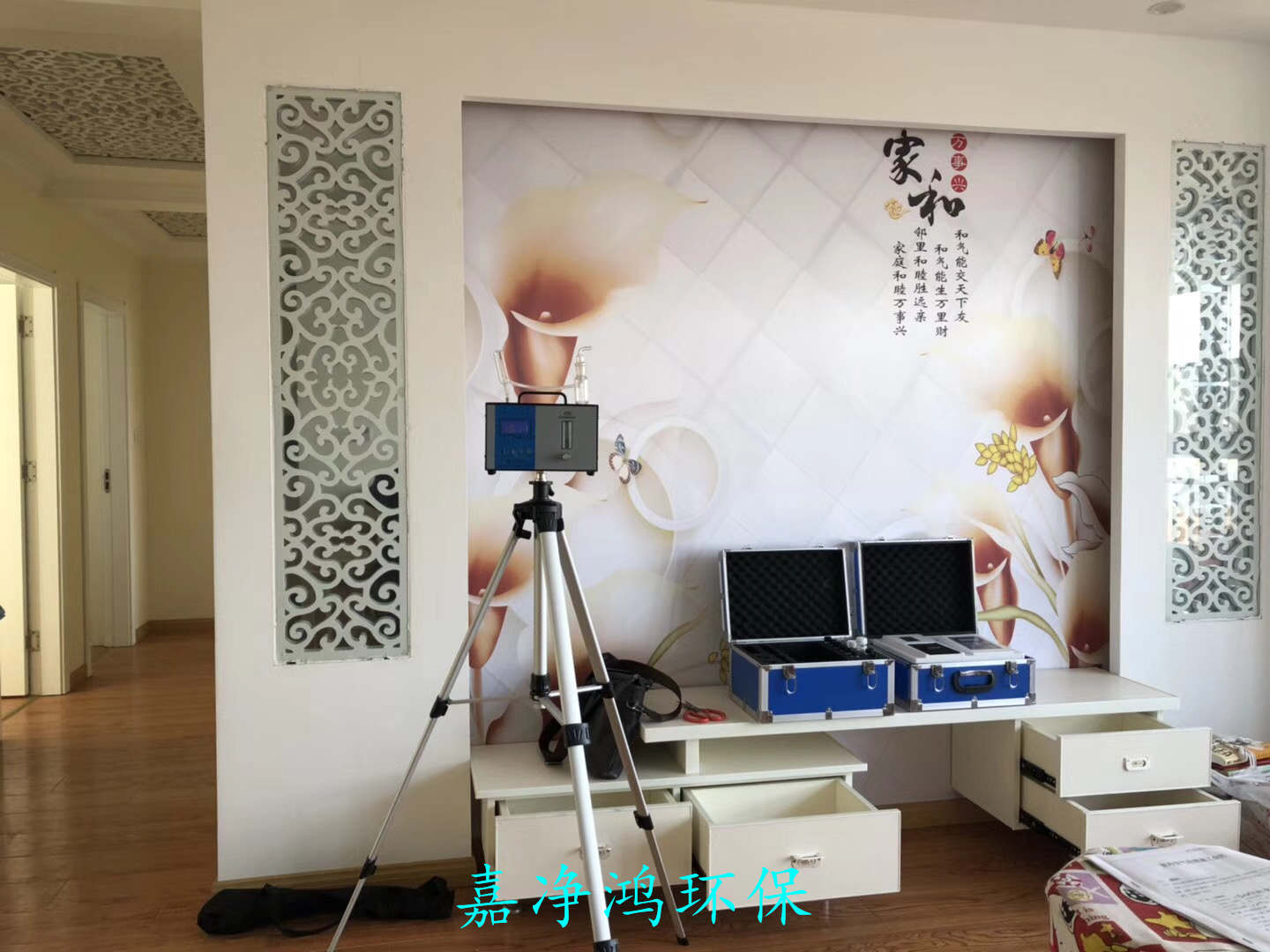 武漢市嘉凈鴻環(huán)?？萍加邢薰? style=