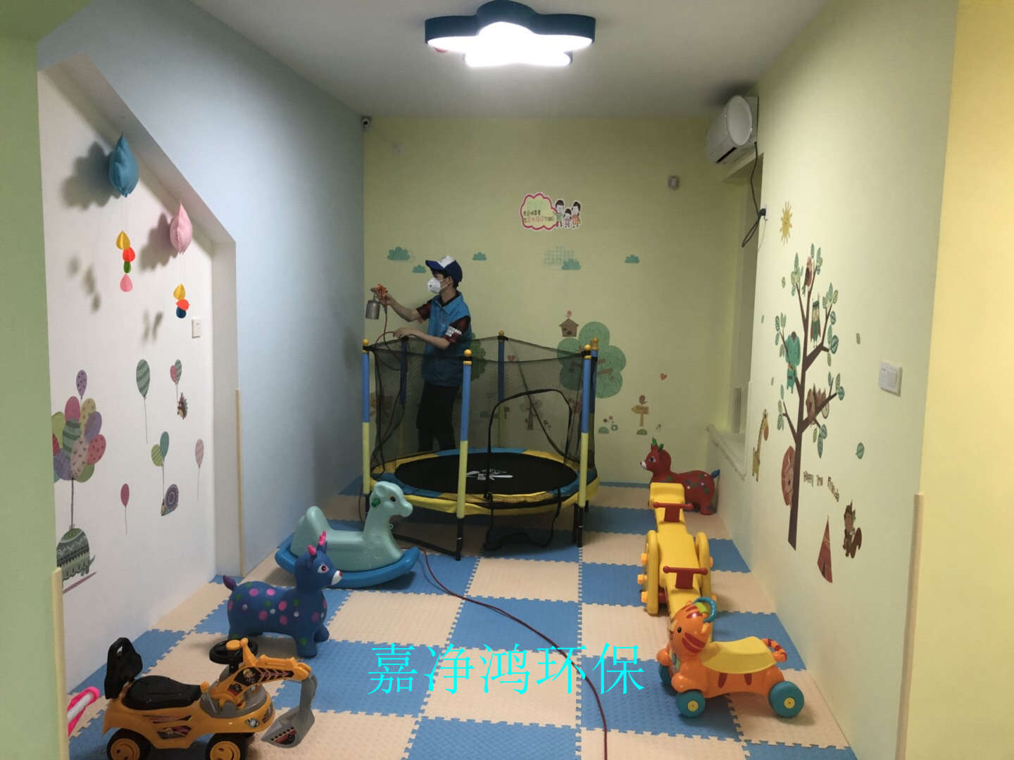 武漢市嘉凈鴻環(huán)?？萍加邢薰? style=