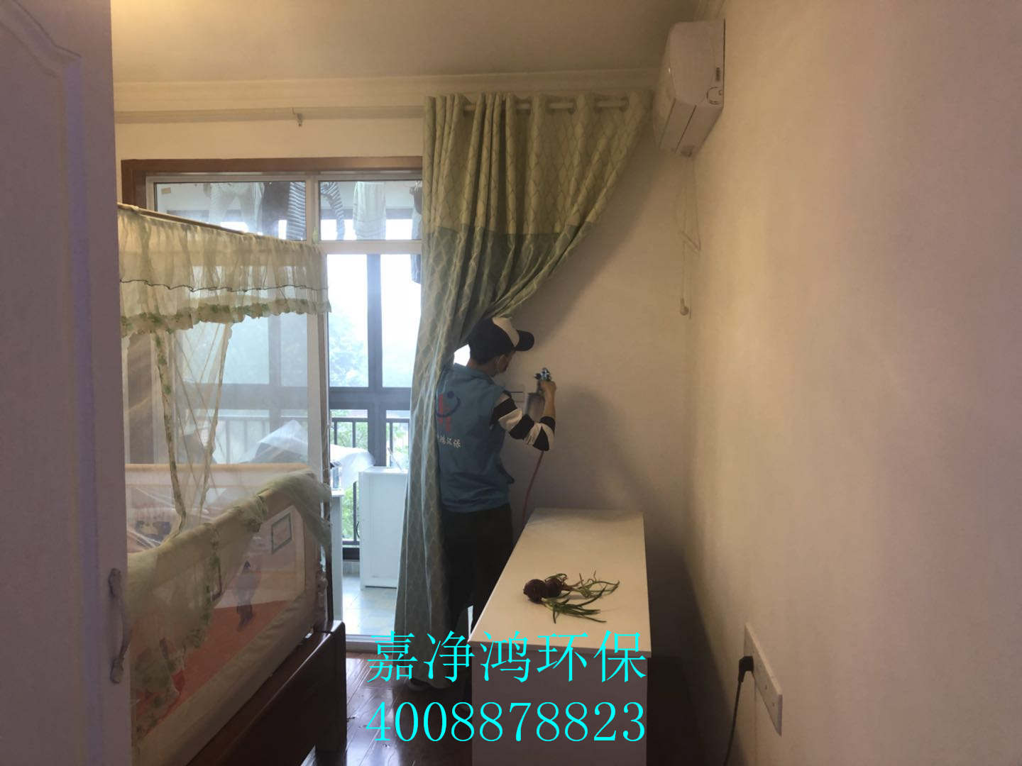 武漢市嘉凈鴻環(huán)?？萍加邢薰? style=