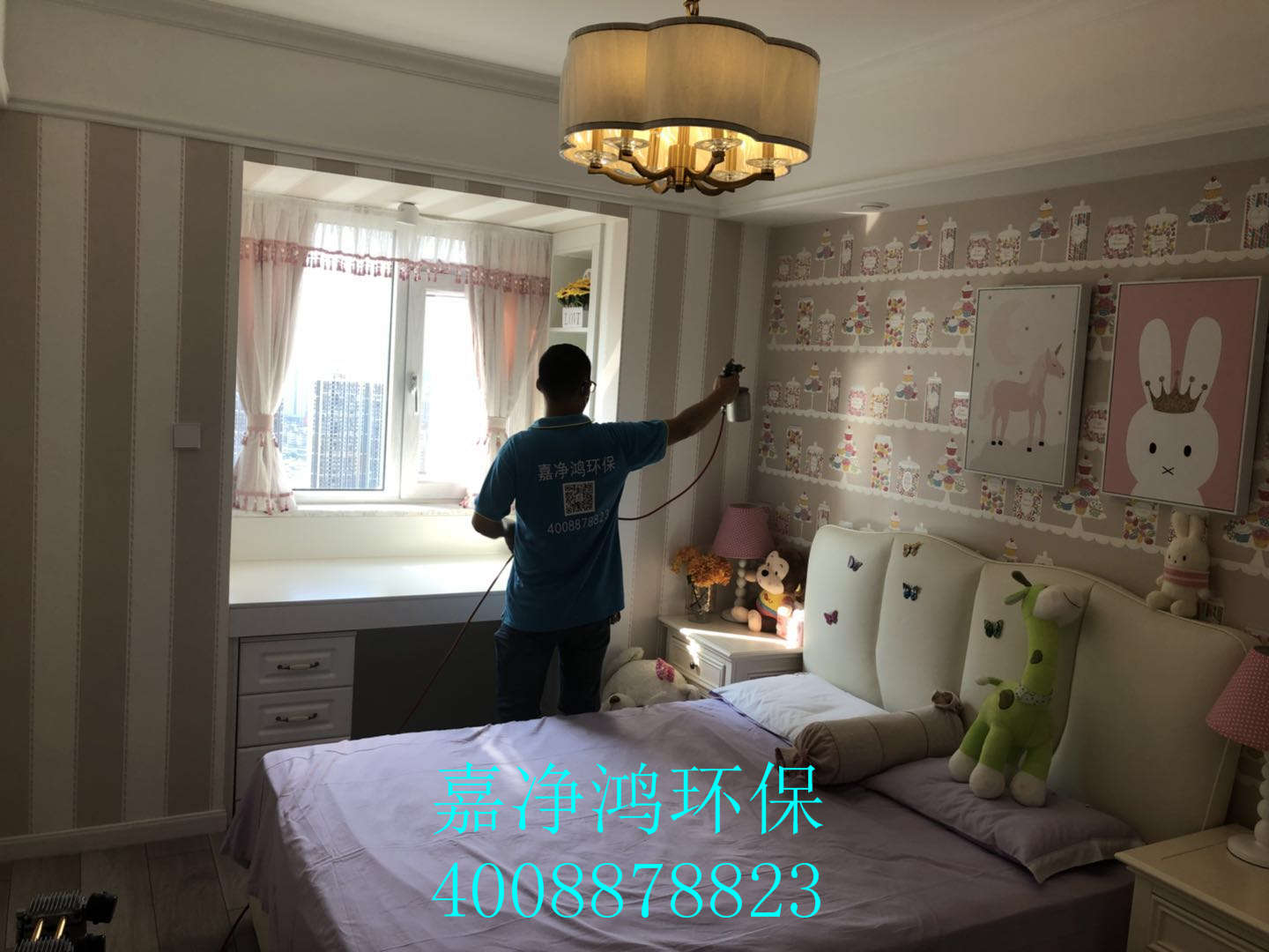 武漢市嘉凈鴻環(huán)?？萍加邢薰? style=