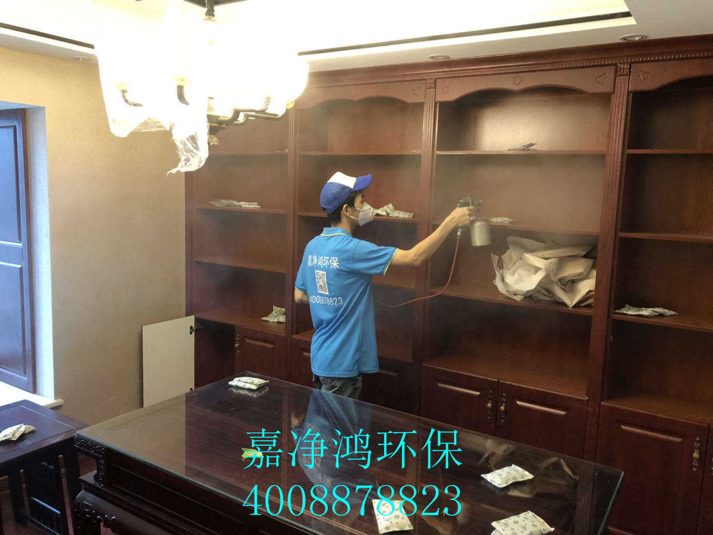 武漢市嘉凈鴻環(huán)?？萍加邢薰? style=