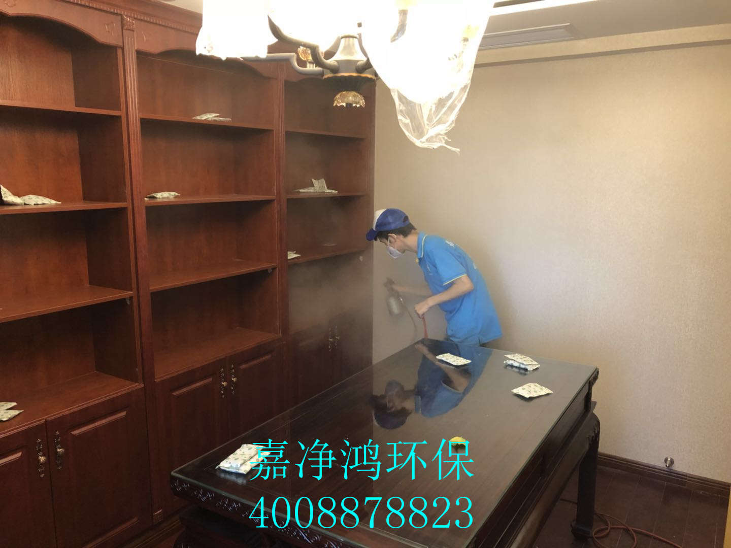 武漢市嘉凈鴻環(huán)?？萍加邢薰? style=