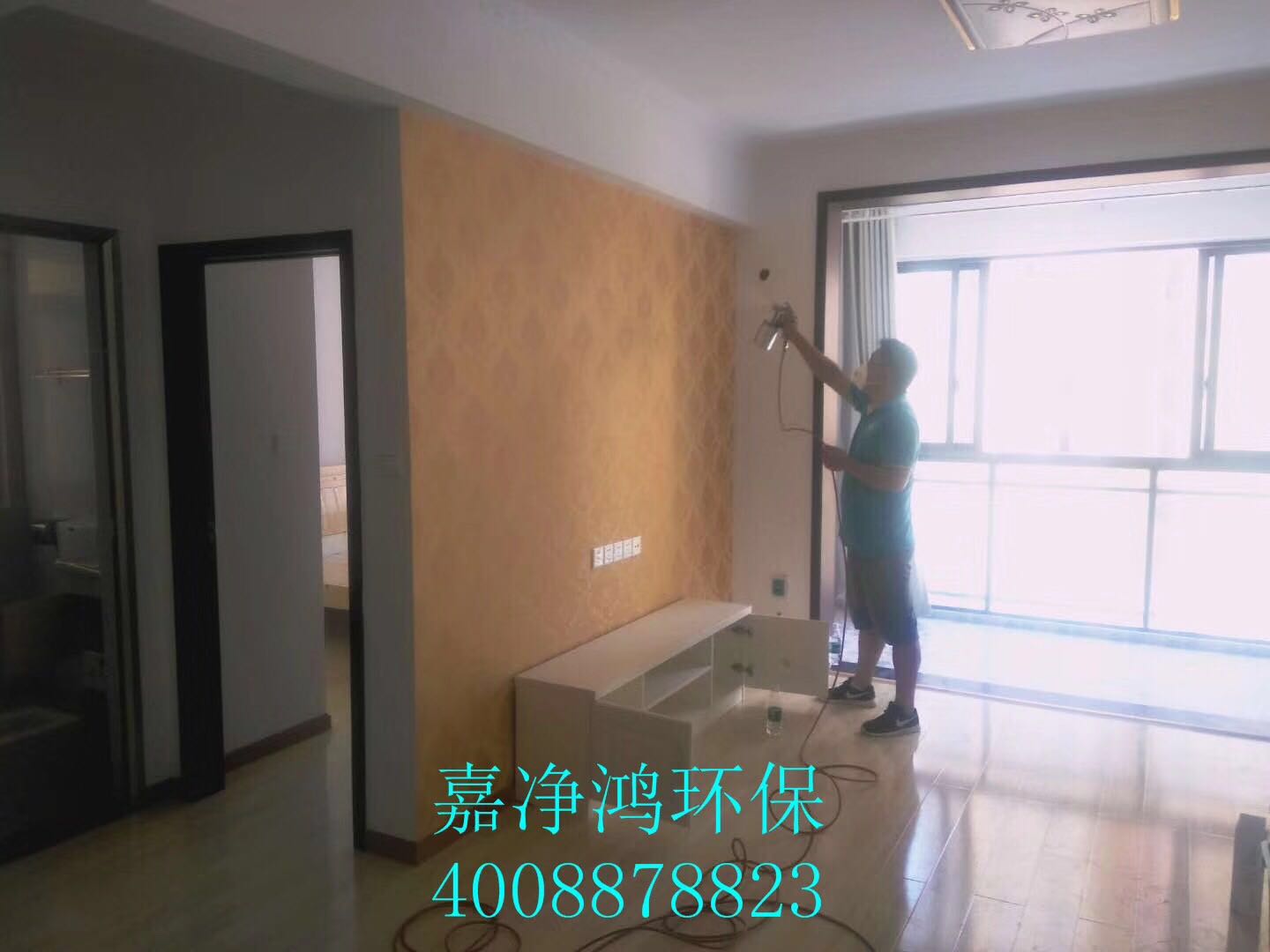 武漢市嘉凈鴻環(huán)?？萍加邢薰? style=