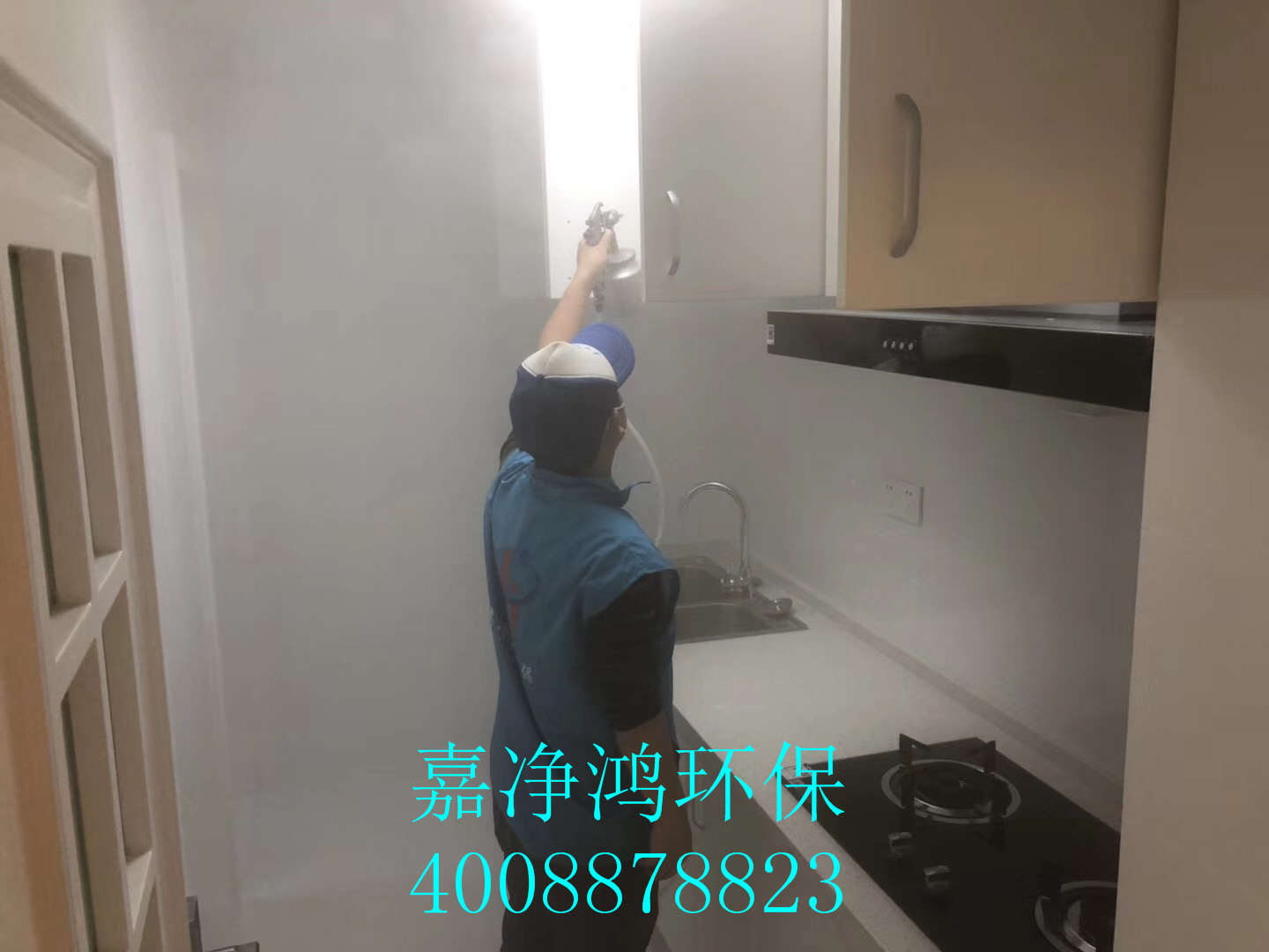 武漢市嘉凈鴻環(huán)?？萍加邢薰? style=